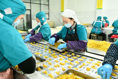 Food Production