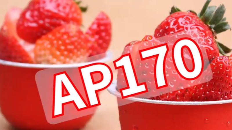 AP170B Round Smoothwall Aluminum Foil Container